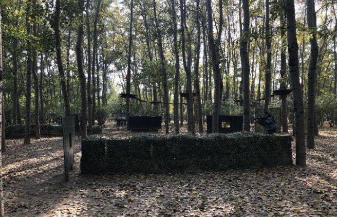 > 朝阳公园真人cs基地